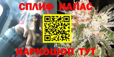 ECSTASY Кунгур