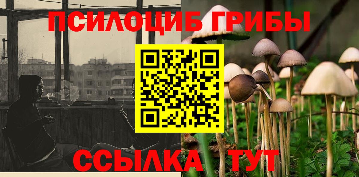 Каменск-Уральский  Псилоцибиновые грибы Psilocybine cubensis  Вход с VPN 